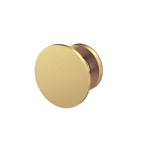 Disk Hook 60mm Round Disk Brushed Gold