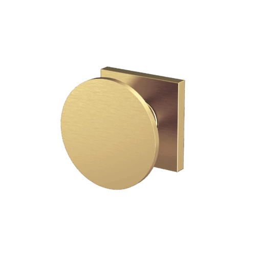 Disk Hook 60mm Round Disk Brushed Gold
